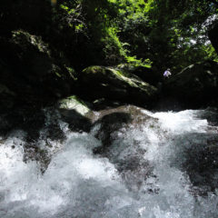 　mountain stream