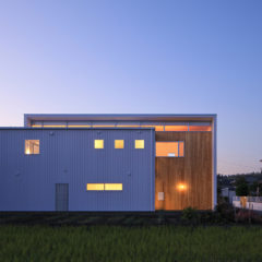 　IDEA ARCHITECTS House with D